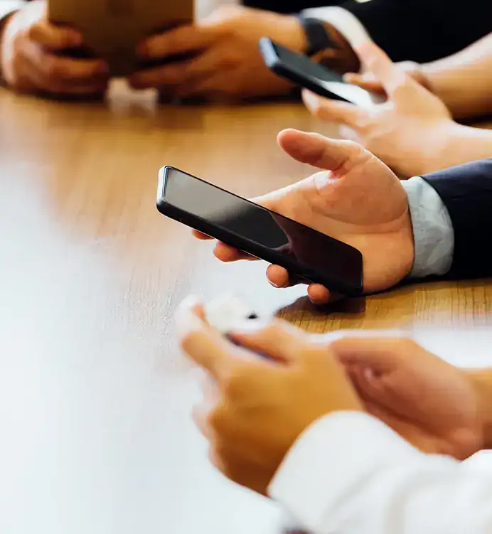 Business Analysis for Mobile App Development at Pegotec