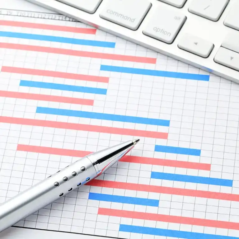 Project Management Services at Pegotec