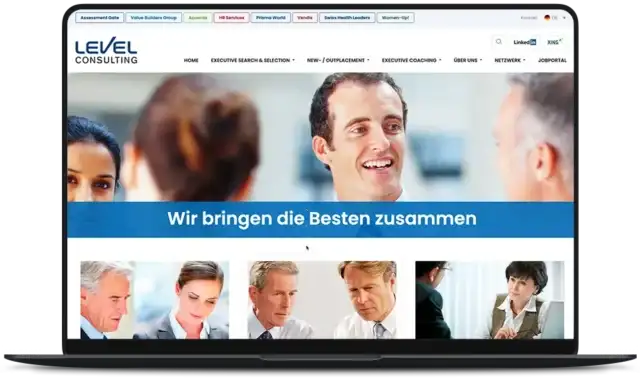 Level Consulting AG Website
