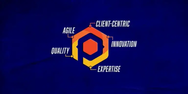 5 Key Reasons to Choose Pegotec for Software Development