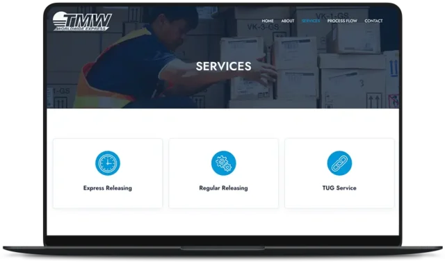 TMW Worldwide Express Website - Services