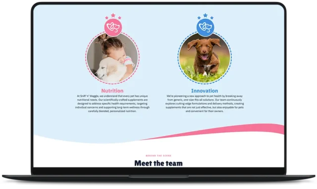 Sniff ’n Waggle Website Meet the Team